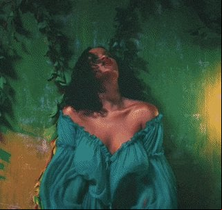 Robyn Rihanna Fenty NH
